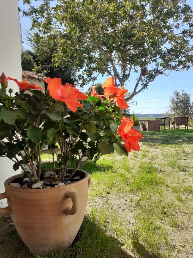 ***** Quinta Do Por Do Sol ***** Lejlighed Figueira da Foz Eksteriør billede